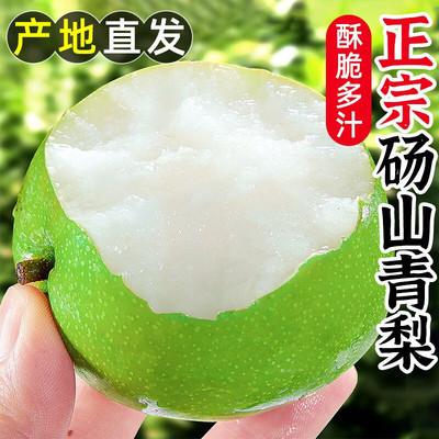 砀山梨青梨9斤新鲜水果水晶皇冠蜜梨生雪当季梨子整箱包邮甜脆