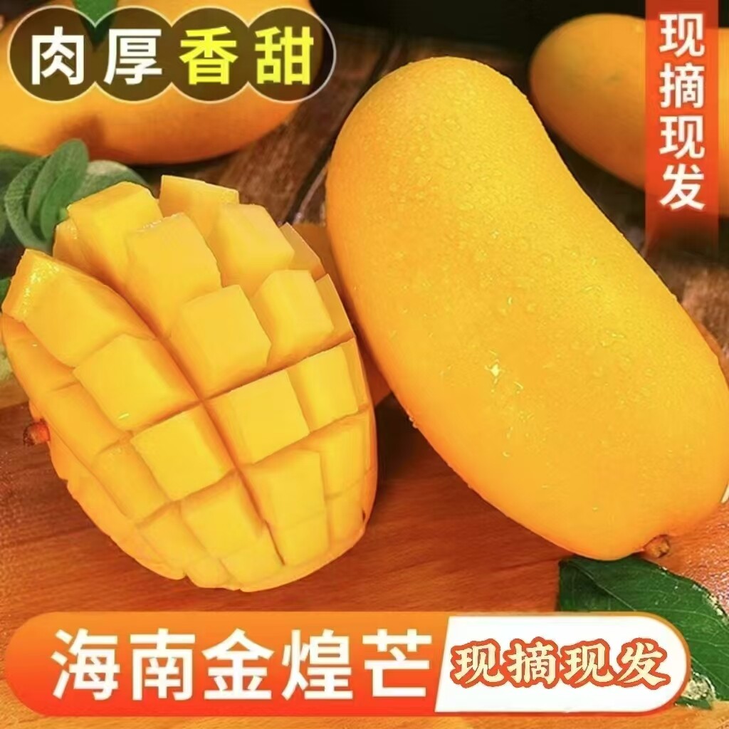 【新鲜速发】海南金煌芒芒果一级大果新鲜水果现摘青甜心黄皮水仙