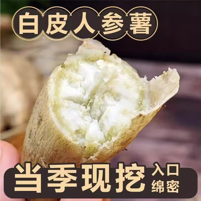 新品白皮牛奶人参薯白心板栗番薯新鲜自种地瓜山芋白薯包邮新鲜