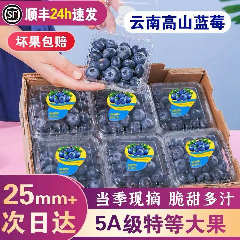 云南花香蓝莓新鲜蓝莓顺丰速发