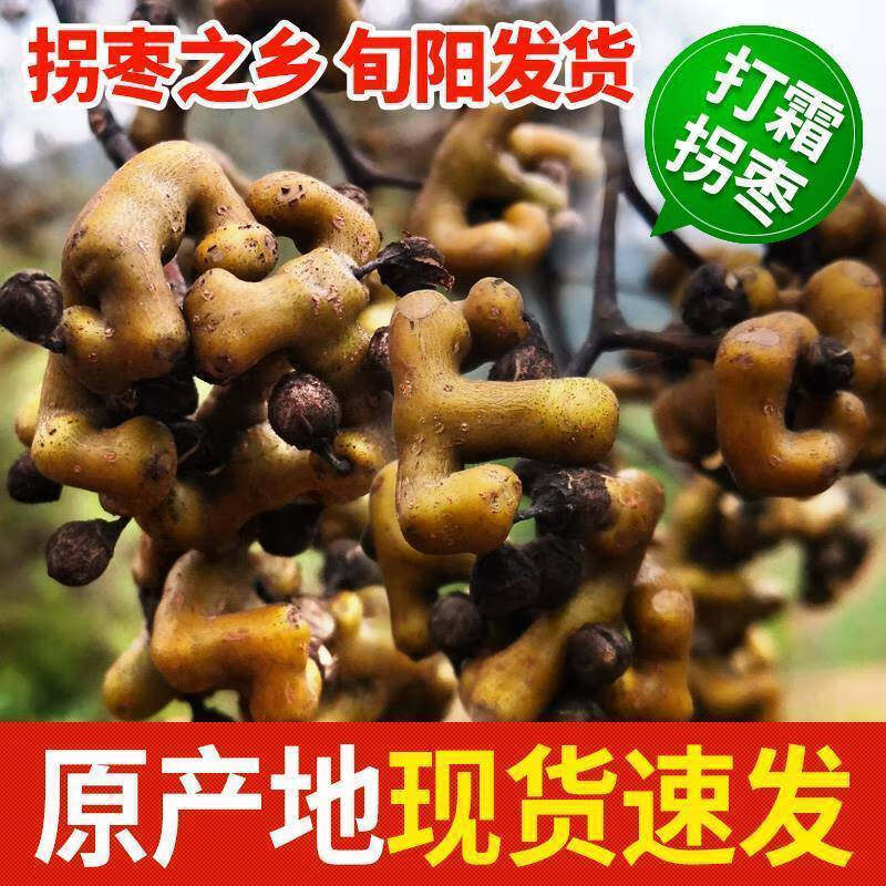 【现货】拐枣干货泡酒 2025年秦岭野生万寿果枳椇子泡酒5斤鸡爪梨