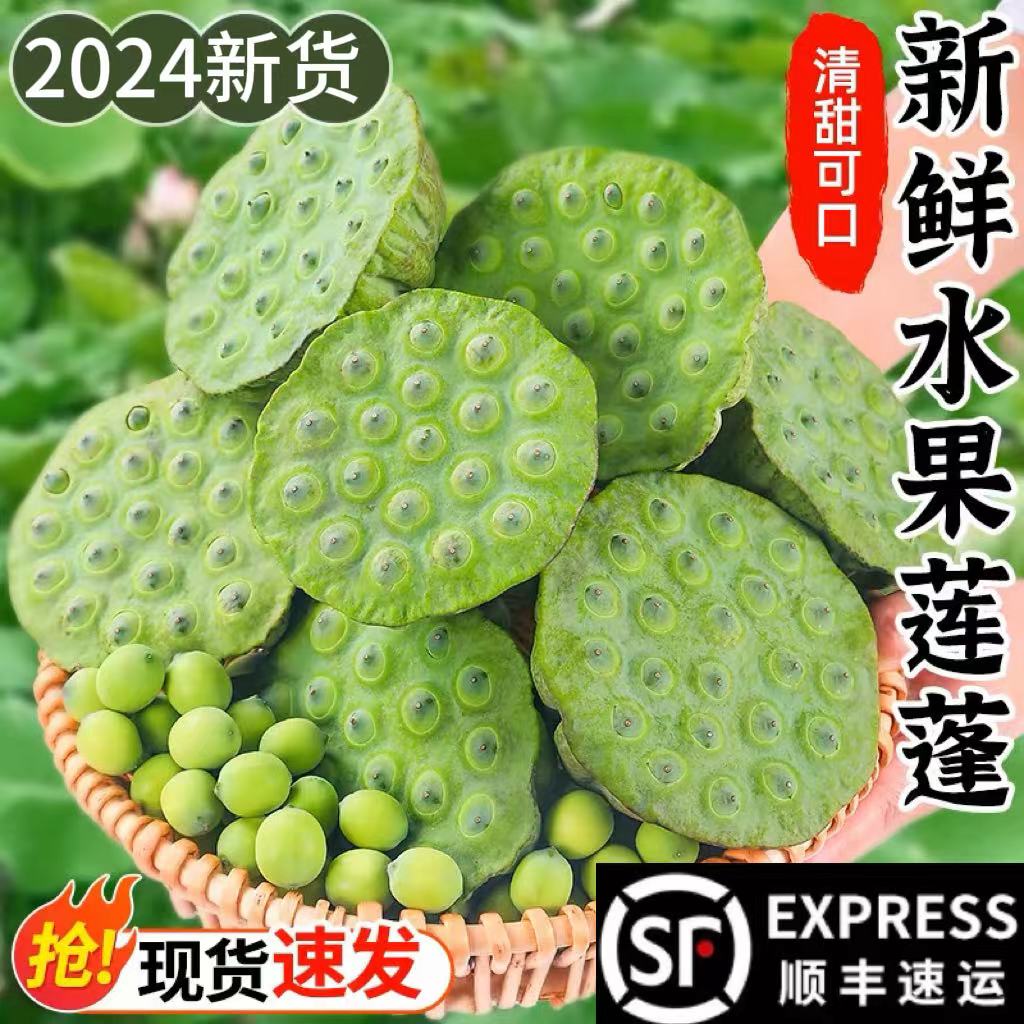 【顺丰】莲蓬新鲜现摘脆甜生吃莲子即食当季孕妇水果莲米蔬菜嫩籽