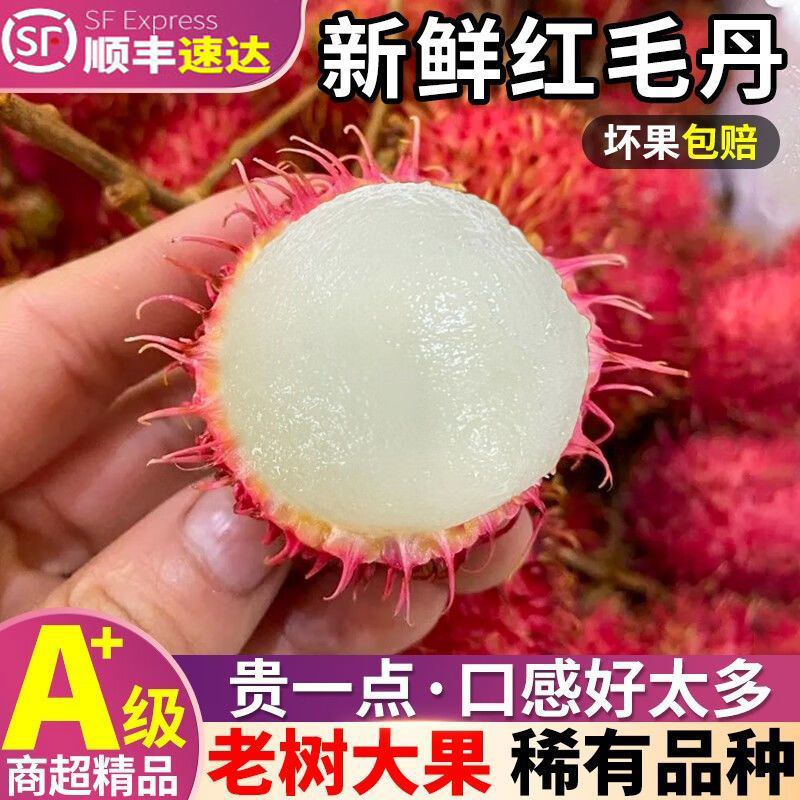 【顺丰】泰国红毛丹新鲜热带水果毛荔枝毛丹果当季红牡丹3斤整