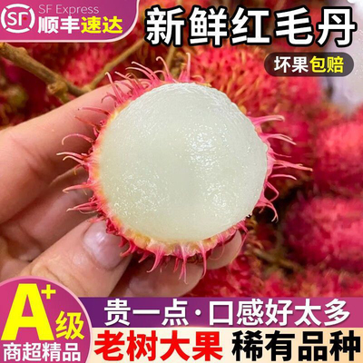 【顺丰】泰国红毛丹新鲜热带水果毛荔枝毛丹果当季红牡丹3斤整