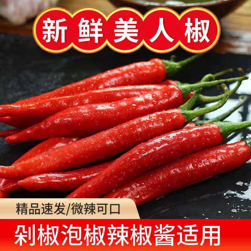 新鲜美人椒大个微辣大红椒红辣椒红尖椒现摘现发红辣子农家自种
