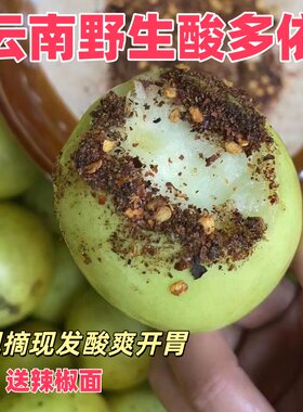云南特产野生酸多依果渣子果芽澜沧普洱嫁接酸多依果黎明酸多依果