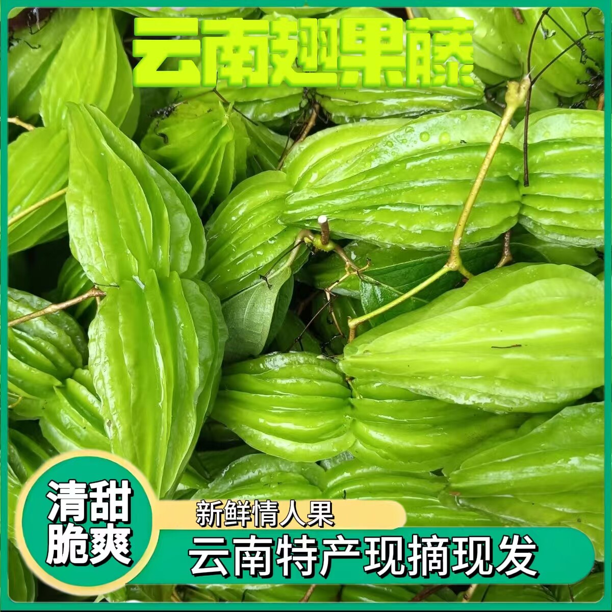 云南特产小苦瓜耦凉拌翅