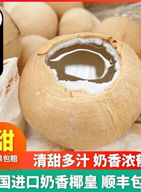 泰国进口椰皇现货速发