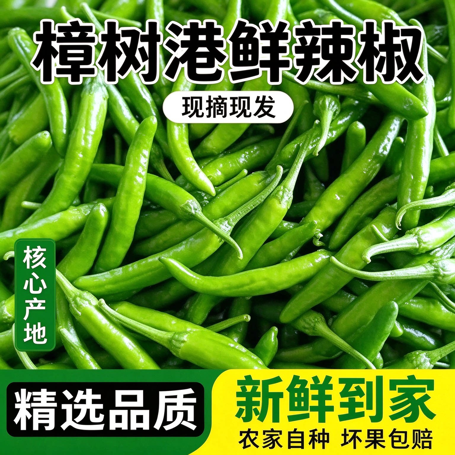 正宗樟树港薄皮辣椒新鲜现摘青椒下饭菜湖南特产农家蔬菜包邮