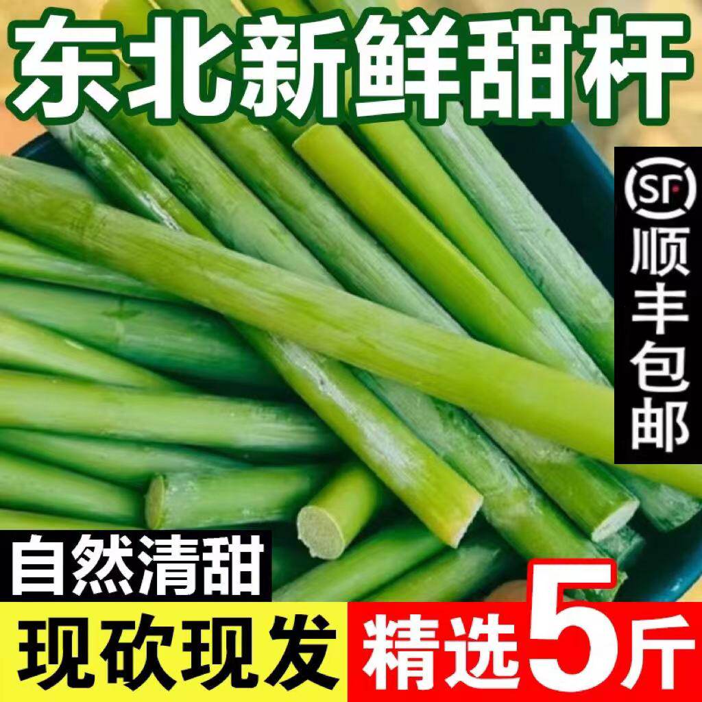 【顺丰】东北特产杆甜高粱杆新鲜应季孕妇水果小甘蔗甜芦杆甜芦粟