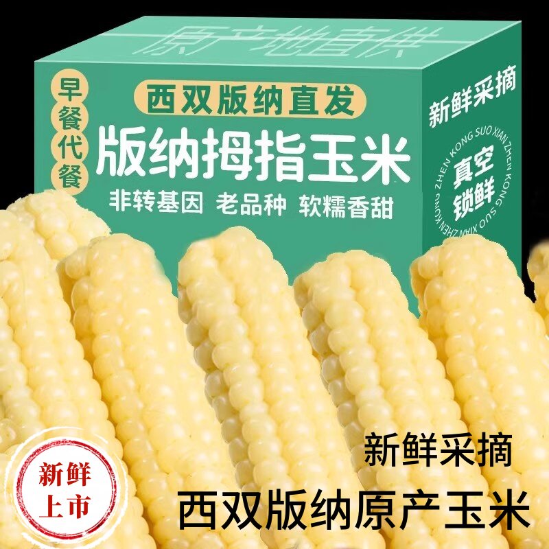 西双版纳香糯拇指小玉米甜白糯玉米云南傣家手指姆玉米宝新鲜真空