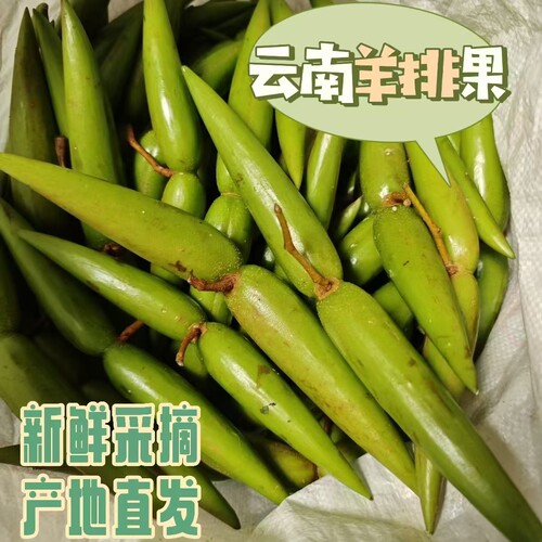 新鲜云南羊排果酸味水果