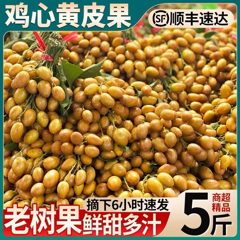 正宗广东鸡心黄皮果新鲜现摘黄弹子冰糖黄皮水果孕妇当季整箱顺丰