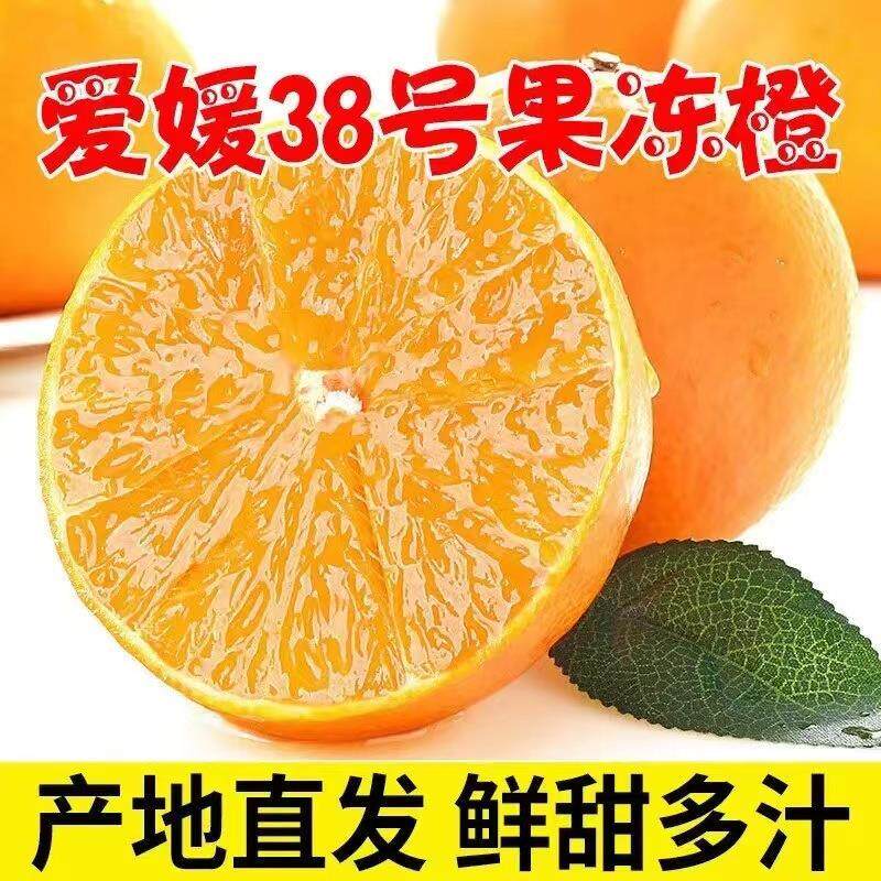 云南爱媛38号果冻橙8斤手剥橙子新鲜当季孕妇水果桔子整箱大果