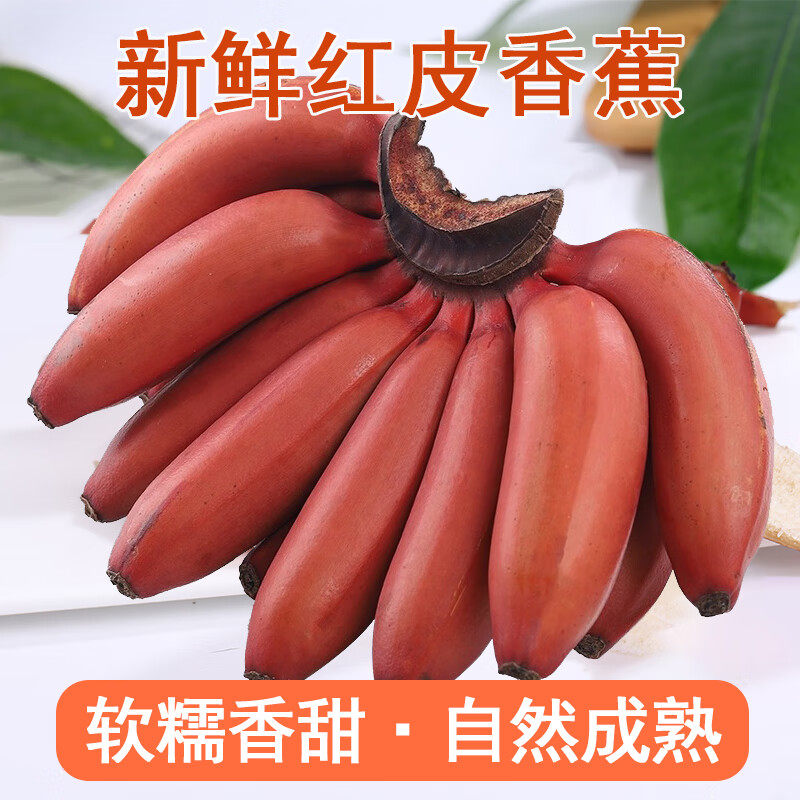 正宗福建红美人香蕉新鲜当季水果特级红皮孕妇食品现发现摘包邮