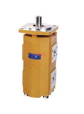 合肥长源CBG-2100/2063-BFP/BFH/BFX/BLP/BLH 装载机起重机齿轮泵