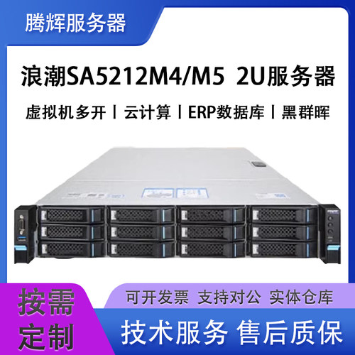 浪潮5212M4服务器电口3008软路由