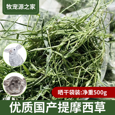 荷兰猪兔兔干草提莫西草兔子