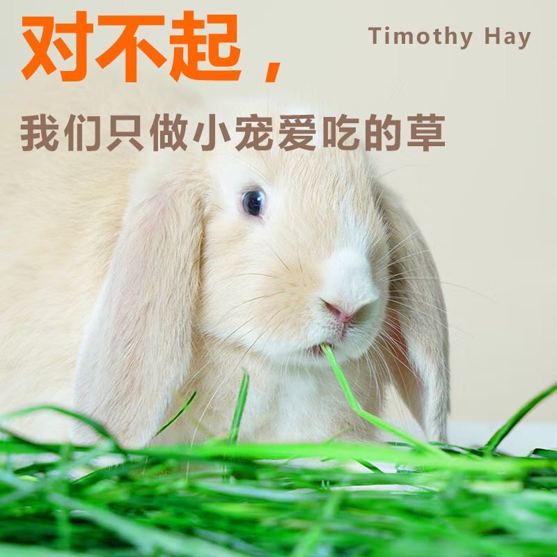产地直供5S级提摩西草烘干优质新鲜小宠优选干草