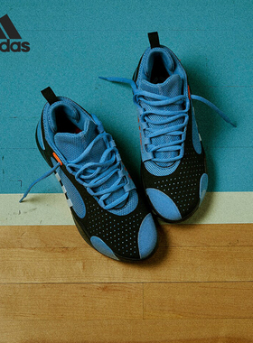Adidas/阿迪达斯正品D.O.N. ISSUE 5男士耐磨篮球鞋IE8328