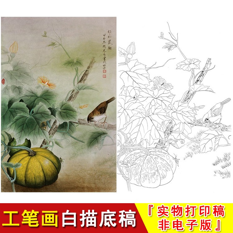 南瓜工笔画白描底稿实物黑白线稿
