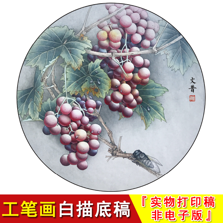 葡萄圆形花鸟现代高清工笔画白描底稿葡萄知了蝉临摹打印线稿WP06