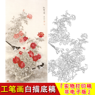 喜鹊 梁燕生工笔白描底稿 月季 实物线条临摹A038 竖幅花鸟 红双喜