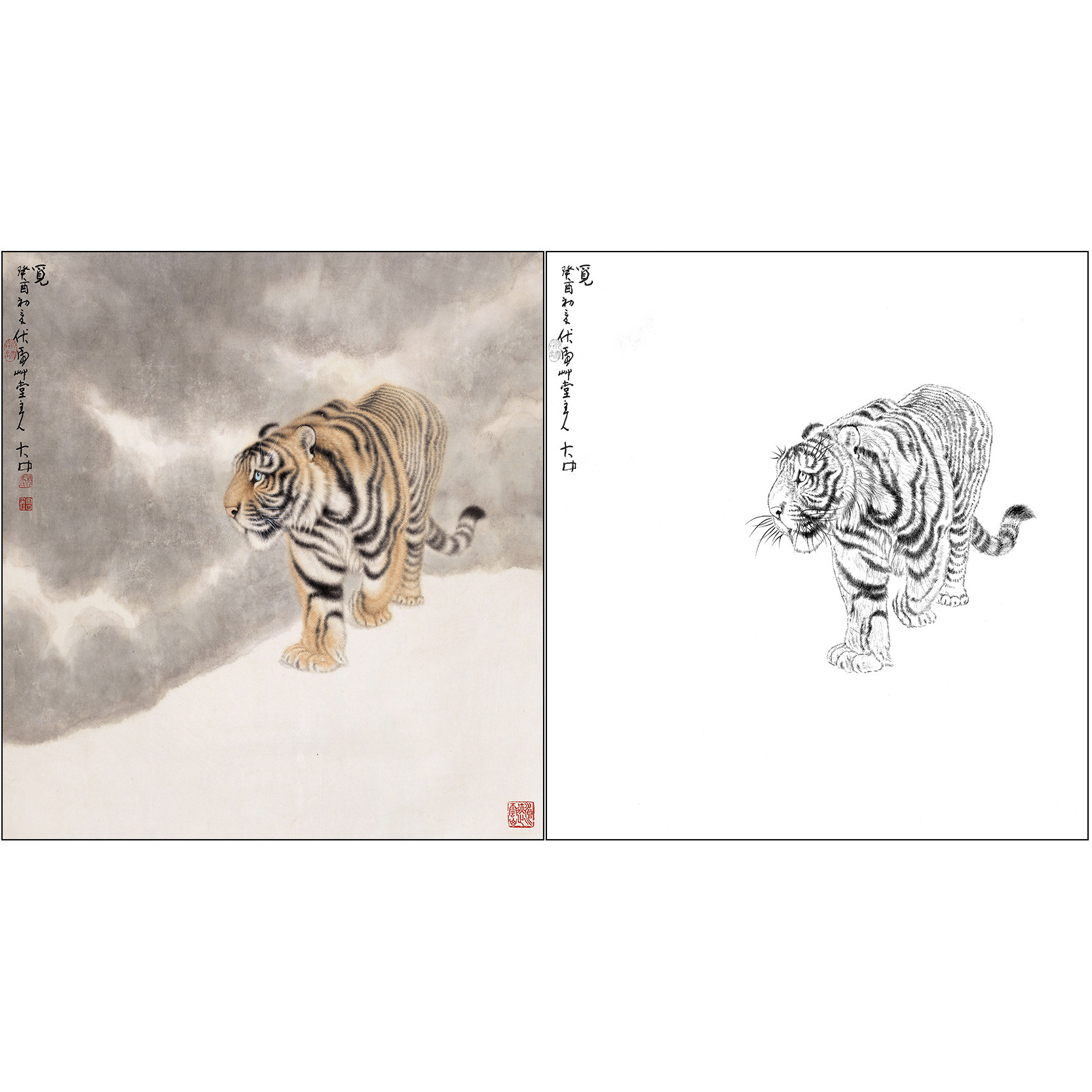 老虎工笔画白描底稿冯大中《老虎》动物白纸临摹实物打印线稿DZ01
