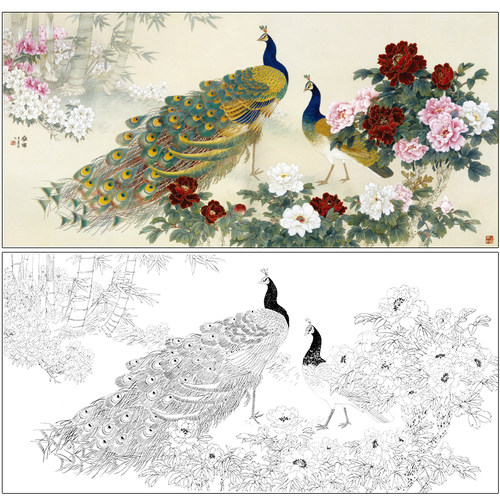 牡丹孔雀工笔画实物打印临摹线稿