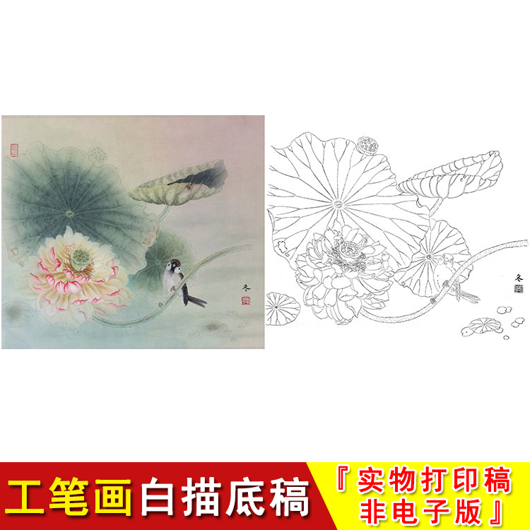 工笔画白描底稿荷花带文字有步骤图国画线条实物打印非电子版HD52