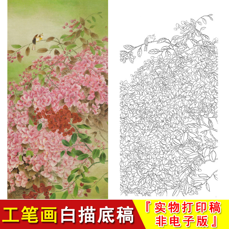 工笔画白描底稿-竖幅花鸟-四尺六尺大幅-三角梅-国画临摹打印a023