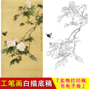 俞致贞工笔画花鸟小品芙蓉凤碟临摹练习起稿实物打印白描底稿GV07