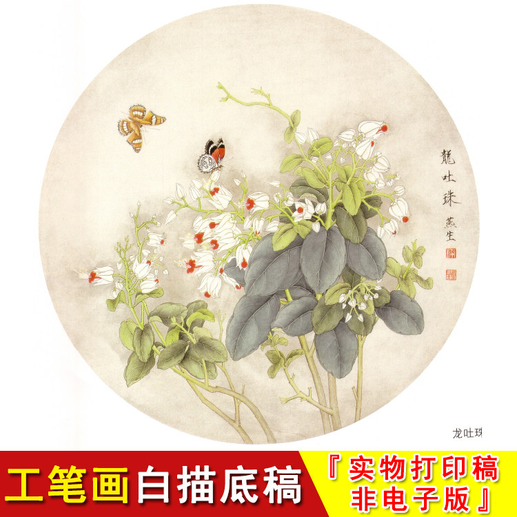 梁燕生工笔白描底稿-花鸟-斗方小品-龙吐珠-国画蝴蝶花卉临摹a386