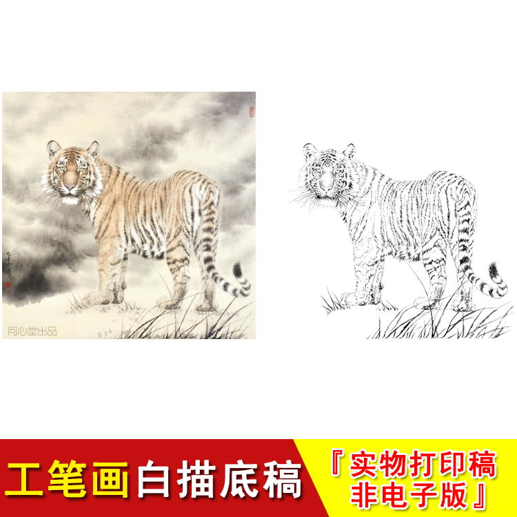 老虎工笔画白描底稿高清动物国画临摹线描素材大幅练习起稿WH12