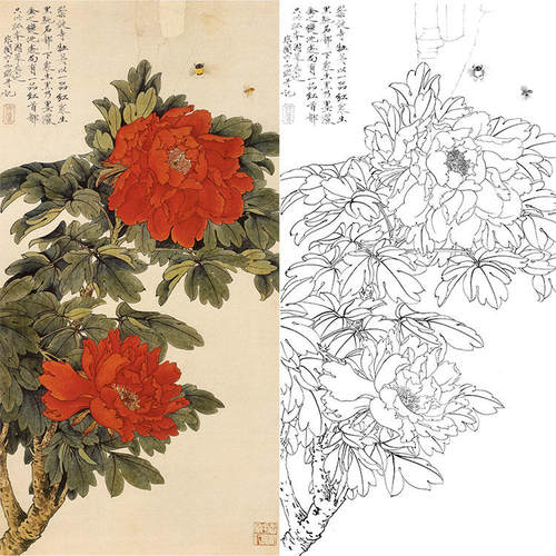 于非闇花大幅实物打印线条工笔画