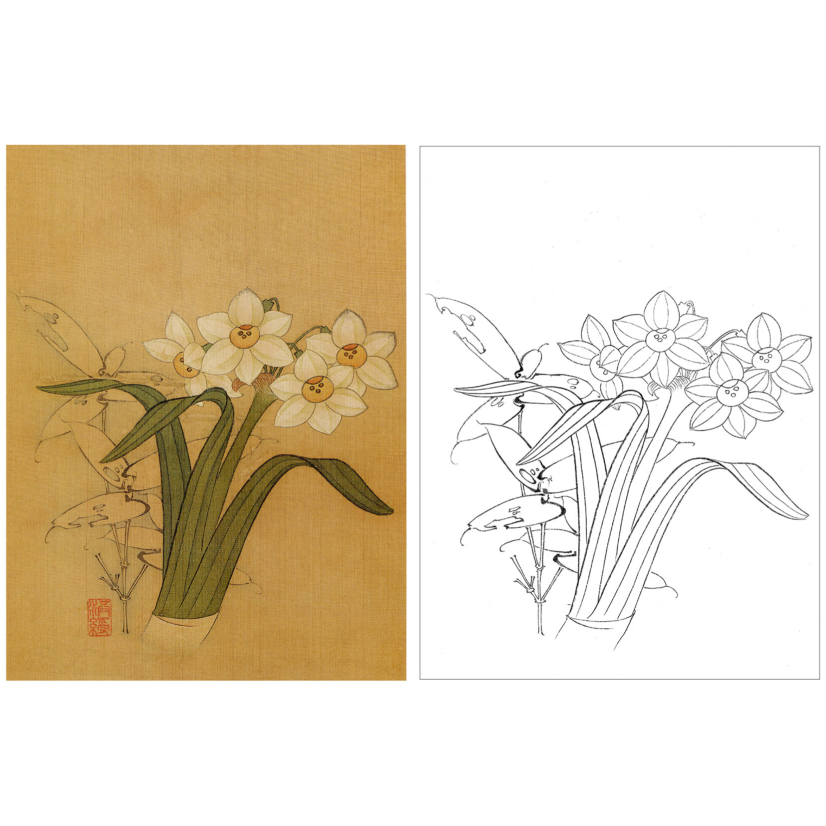 陈洪绶花鸟写生册 工笔画白描底稿《清芳结竹》水仙高清线稿Q050