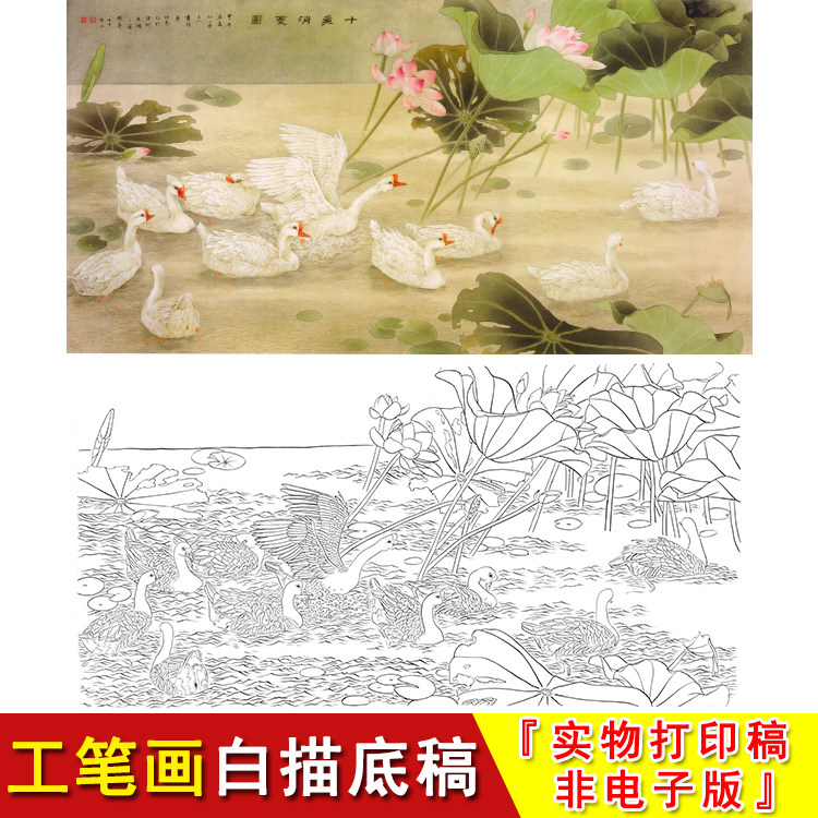 工笔画白描底稿白鹅国画横幅花鸟荷塘十美消夏图邹传安打印稿A025