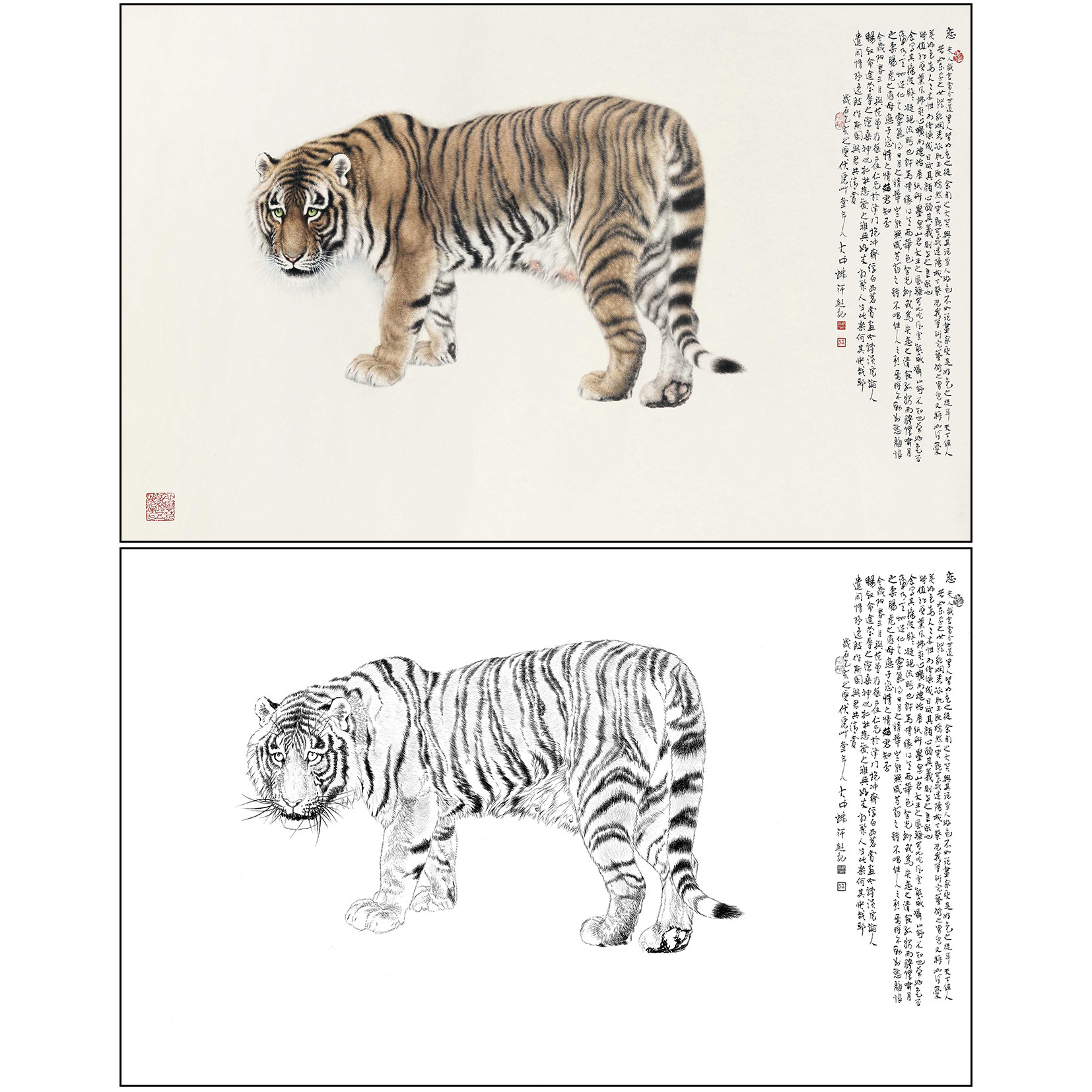 老虎工笔画白描底稿冯大中《恋》动物临摹实物白纸打印线稿DZ15