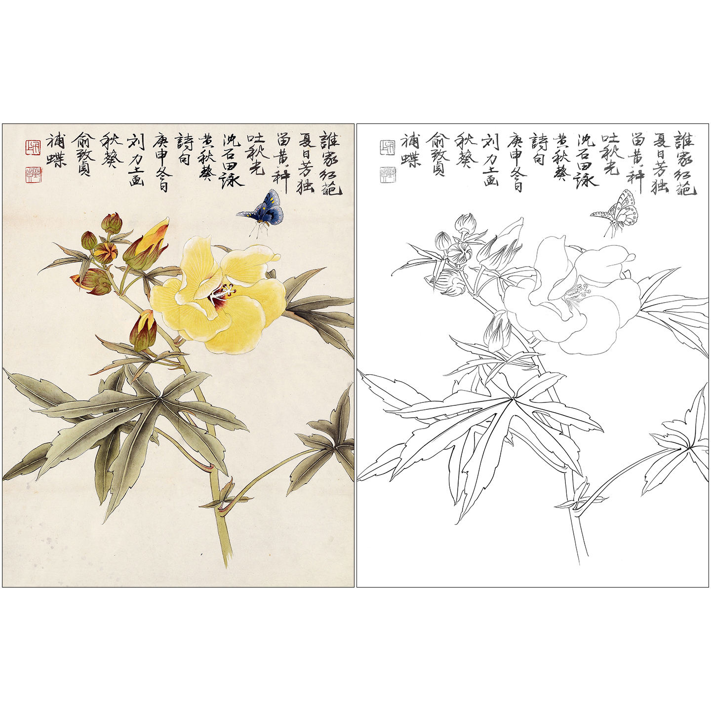 工笔画白描底稿俞致贞花鸟《花蝶图》临摹高清打印黑白线稿ZZ50