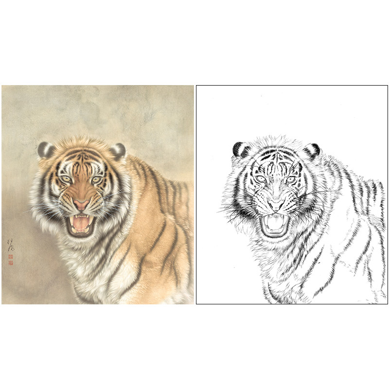 工笔画老虎白描底稿刘继彪国画用作宣纸临摹勾线实物打印线稿A631