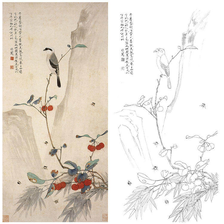 工笔画白描底稿国画花鸟于非闇伯劳图实物打印线条用宣纸临摹yf46