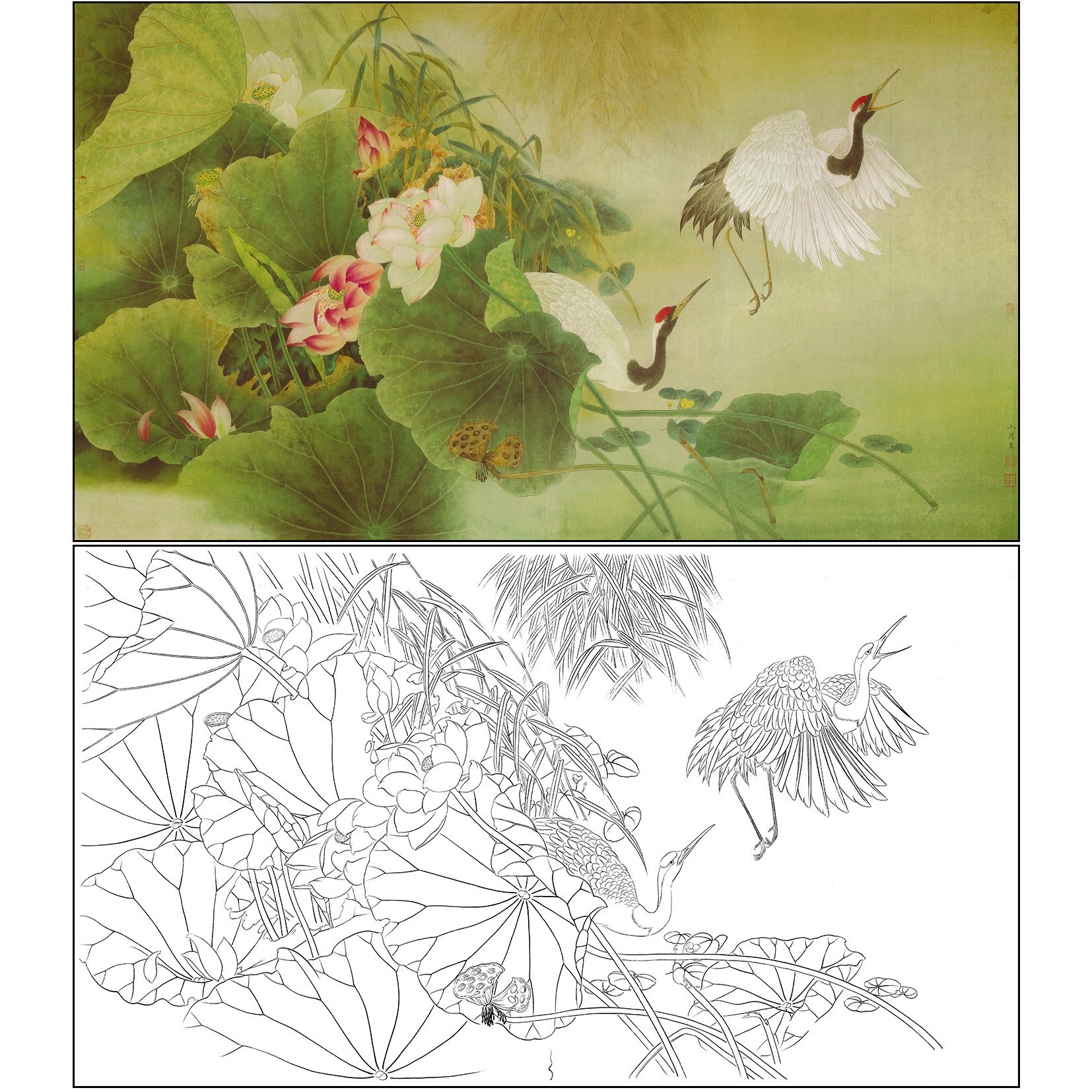 大幅白描底稿工笔画横幅花鸟仙鹤-荷花白飞鹤-临摹染色练习稿A004