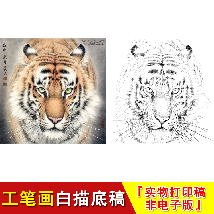 老虎头工笔画白描底稿四尺斗方动物国画临摹素材大幅练习起稿WH16