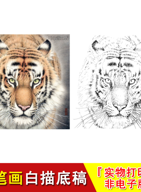 老虎头工笔画白描底稿四尺斗方动物国画临摹素材大幅练习起稿WH16