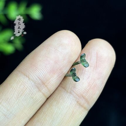 手工雕刻送证书纯天然A货翡翠一体冰种满绿全玉石小草芽耳钉耳饰
