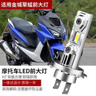 适用林海Force155领程175金城草蜢200摩托车配件LED前大灯泡H7