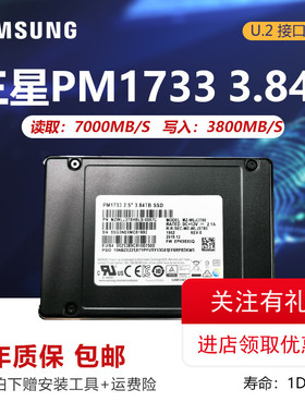 Samsung/三星 PM1733 1.92T 3.84T U2 PCIE4.0 X4企业级 PM983