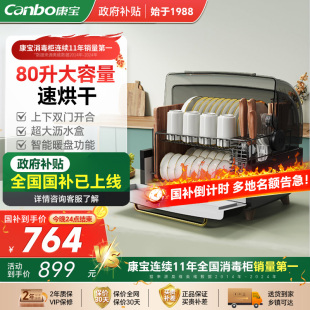 小型碗筷柜消毒柜婴儿奶瓶碗柜星级收纳茶具烘干一体 康宝家用台式