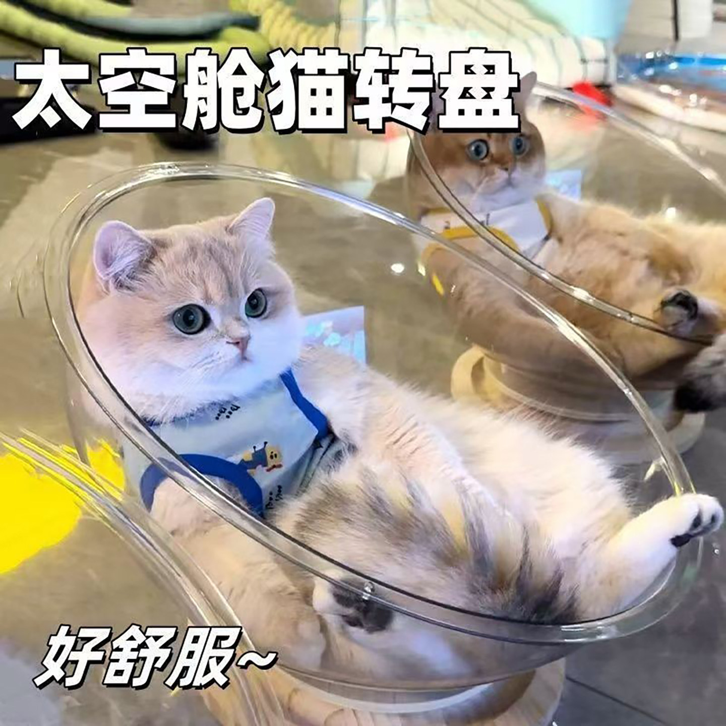 太空舱高透亚克力转盘猫窝保暖