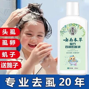 云南本草百部酊去除虱子洗发水儿童小女孩头上虱卵一扫光除螨止痒